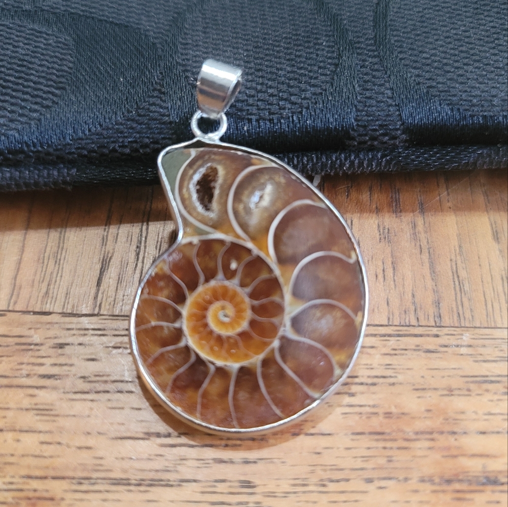 Ammonite fossil Pendant